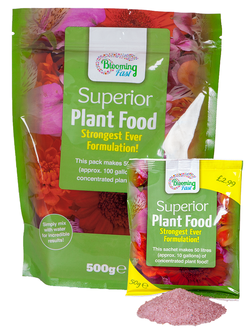 Superior Plant Food